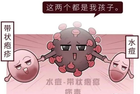 水痘再度来袭！初中生成“高危”群体，家长和学校如何应对？