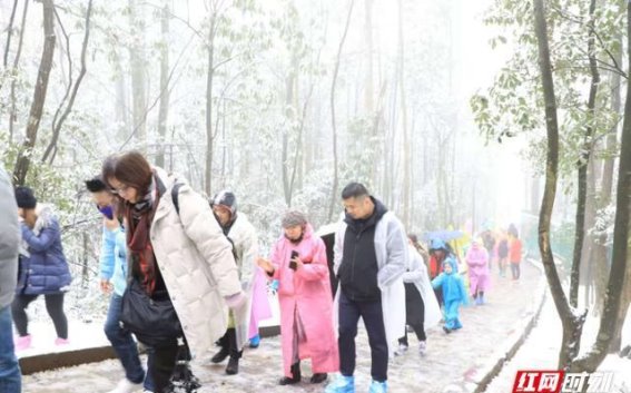 冬季错峰出游，张家界国家森林公园的独特魅力