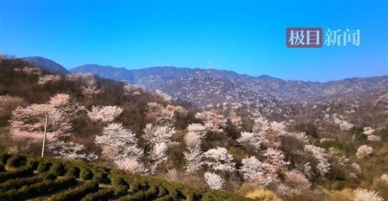 春游大悟：文旅融合激活乡村振兴新动能