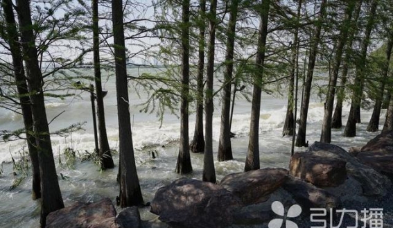 苏州独墅湖惊涛拍岸，湖面波涛汹涌引游客驻足