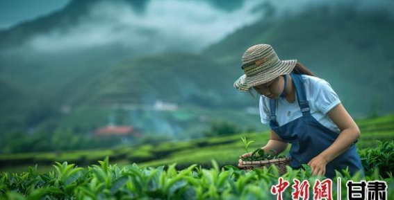 赵钱坝村：在绿水青山中谱写乡村振兴之歌