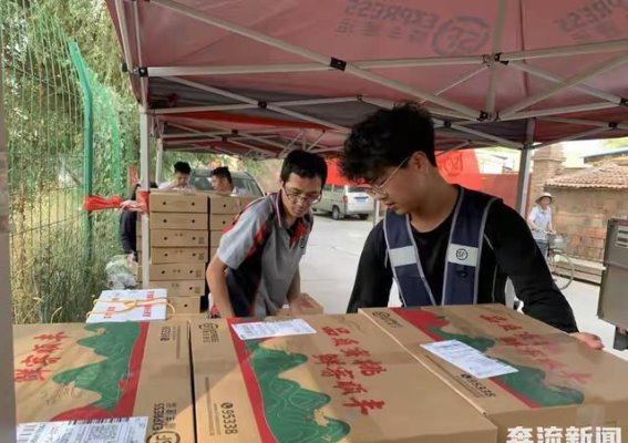 安宁白凤桃：丰收背后的乡村振兴故事