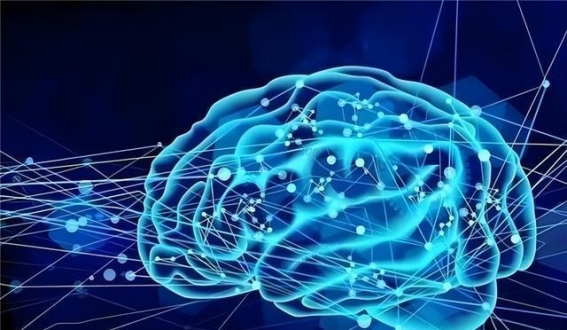 月经周期竟在悄悄重塑女性大脑，我们对女生的误解太深